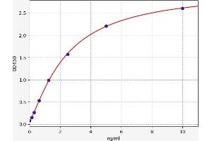 Typical standard curve (SYT1 ELISA Kit)