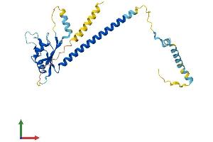 Protein Structure (PS) image for Activator of Basal Transcription 1 (Abt1) (AA 1-269) protein (His tag) (ABIN7561798)