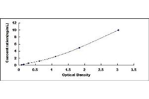 Typical standard curve (STEAP2 ELISA Kit)