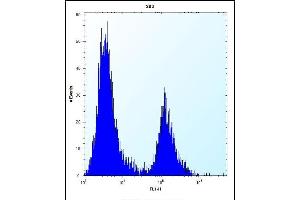 IRF4 Antibody (Center) (ABIN656568 and ABIN2845828) flow cytometric analysis of 293 cells (right histogram) compared to a negative control cell (left histogram). (IRF4 antibody  (AA 164-191))