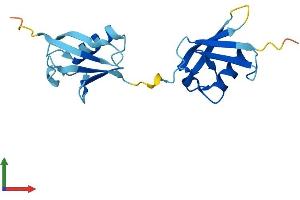 Protein Structure (PS) image for Ubiquitin D (UBD) (AA 1-165) protein (His tag) (ABIN7555935)