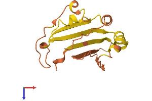 Protein Structure (PS) image for Transmembrane Phosphoinositide 3-Phosphatase and Tensin Homolog 2 Pseudogene 1 (TPTE2P1) (AA 1-138) protein (His tag) (ABIN7544671)