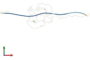 AlphaFold protein structure predicition of Mouse Recombinant Ccdc73 Protein, UniprotID Q8CDM4 (CCDC73 Protein (AA 1-1066) (His tag))