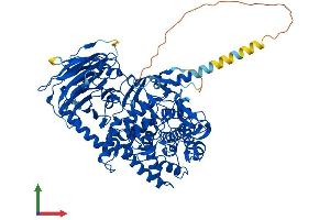 AlphaFold protein structure predicition of Mouse Recombinant Mogs Protein, UniprotID Q80UM7 (GCS1 Protein (AA 1-834) (His tag))