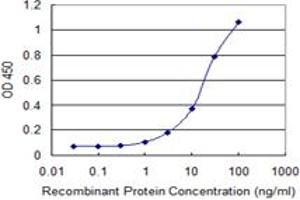 Detection limit for recombinant GST tagged TAF12 is 0. (TAF12 antibody  (AA 1-161))