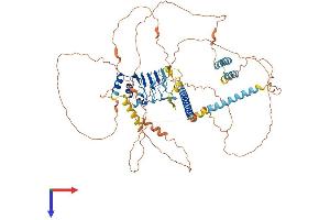 Leucine Rich Repeat Containing 36 (LRRC36) (AA 1-755) protein (His tag)