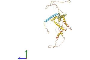 AlphaFold protein structure predicition of Mouse Recombinant Rtn2 Protein, UniprotID O70622