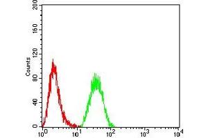 Flow cytometric analysis of Hela cells using NR2C2 mouse mAb (green) and negative control (red). (TR4 antibody  (AA 62-356))