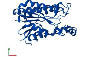 AlphaFold protein structure predicition of Human Recombinant BDH2 Protein, UniprotID Q9BUT1