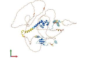Protein Structure (PS) image for F-Box Protein 43 (FBXO43) (AA 1-640) protein (His tag) (ABIN7559263)