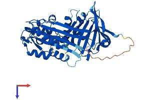 SERPINB6 Protein (AA 1-376) (His tag)