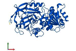 Protein Structure (PS) image for Alcohol Dehydrogenase 4 (Class II), pi Polypeptide (ADH4) (AA 1-380) protein (His tag) (ABIN7552030)