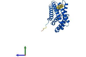 AlphaFold protein structure predicition of Mouse Recombinant Tmem150c Protein, UniprotID Q8C8S3 (TMEM150C Protein (AA 1-249) (His tag))