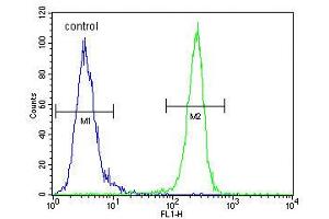 Flow cytometric analysis of MDA-MB435 cells (right histogram) compared to a negative control cell (left histogram). (VEGFR2/CD309 antibody  (C-Term))