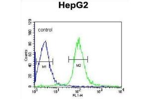 Flow Cytometry (FACS) image for anti-Microsomal Glutathione S-Transferase 2 (MGST2) antibody (ABIN3003945) (MGST2 antibody)