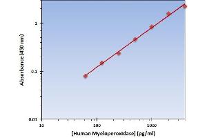 This is an example of what a typical standard curve will look like. (Myeloperoxidase ELISA Kit)