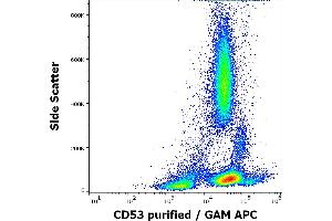Flow cytometry surface staining pattern of human peripheral blood stained using anti-human CD53 (MEM-53) purified antibody (concentration in sample 3 μg/mL, GAM APC).