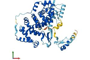 Protein Structure (PS) image for Zinc Finger, MYND-Type Containing 10 (ZMYND10) (AA 1-440) protein (His tag) (ABIN7545637)