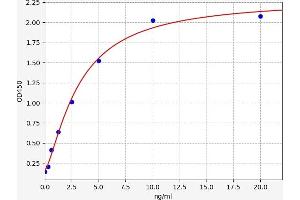 C4A ELISA Kit