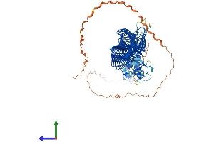 AlphaFold protein structure predicition of Mouse Recombinant Fbxo11 Protein, UniprotID Q7TPD1 (FBXO11 Protein (AA 1-930) (His tag))