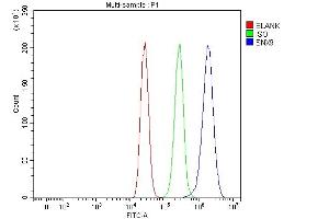 Flow Cytometry analysis of MCF-7 cells using anti-SH3PX1/SNX9 antibody (ABIN7600637). (SNX9 antibody  (AA 211-573))