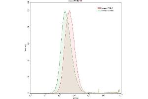 Detection of PYGM in HepG2 human hepatocellular carcinoma cell line using Polyclonal Antibody to Glycogen Phosphorylase, Muscle (PYGM) (PYGM antibody  (AA 11-187))