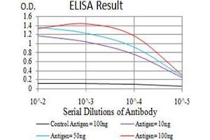 Black line: Control Antigen (100 ng);Purple line: Antigen (10ng); Blue line: Antigen (50 ng); Red line:Antigen (100 ng) (BNIP3 antibody  (AA 50-155))