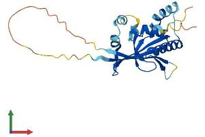 AlphaFold protein structure predicition of Human Recombinant ATG10 Protein, UniprotID Q9H0Y0 (ATG10 Protein (AA 1-220) (His tag))
