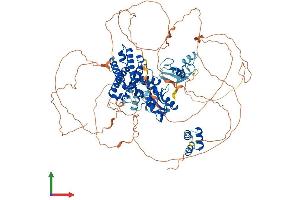 AlphaFold protein structure predicition of Human Recombinant CBL Protein, UniprotID P22681 (CBL Protein (AA 1-906) (His tag))