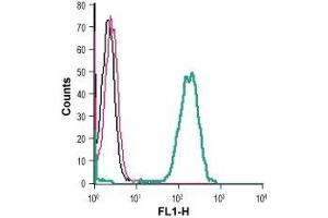 Cell surface detection of GPR37 in live intact human THP-1 monocytic leukemia cells: (black line) Cells. (GPR37 antibody  (Extracellular, N-Term))