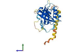 AlphaFold protein structure predicition of Mouse Recombinant Arl10 Protein, UniprotID Q9QXJ4 (ARL10 Protein (AA 1-243) (His tag))