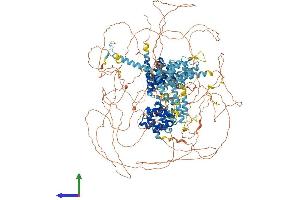 Protein Structure (PS) image for Eukaryotic Translation Initiation Factor 4 Gamma, 1 (EIF4G1) (AA 1-1600) protein (His tag) (ABIN7564070)
