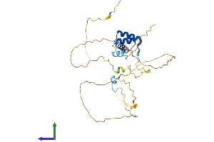 Protein Structure (PS) image for Engrailed Homeobox 2 (EN2) (AA 1-333) protein (His tag) (ABIN7548307)