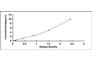 ELISA image for Runt-Related Transcription Factor 3 (RUNX3) ELISA Kit (ABIN419402)