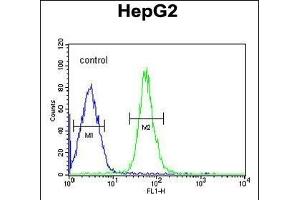 HMGA2 Antibody (C-term) (ABIN1981306 and ABIN2840297) flow cytometric analysis of HepG2 cells (right histogram) compared to a negative control cell (left histogram). (HMGA2 antibody  (C-Term))