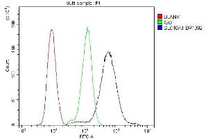 anti-Solute Carrier Family 18 (Vesicular Monoamine Transporter), Member 1 (SLC18A1) (AA 1-510) antibody