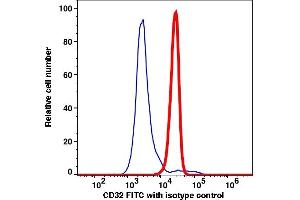 Flow Cytometry (FACS) image for anti-Fc gamma RII (CD32) antibody (FITC) (ABIN2704249) (Fc gamma RII (CD32) antibody (FITC))