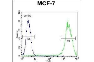 LGALS3 Antibody (C-term) (ABIN655879 and ABIN2845280) flow cytometric analysis of MCF-7 cells (right histogram) compared to a negative control cell (left histogram). (Galectin 3 antibody  (C-Term))