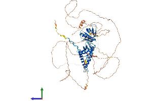 AlphaFold protein structure predicition of Human Recombinant SH2B1 Protein, UniprotID Q9NRF2 (SH2B1 Protein (AA 1-756) (His tag))