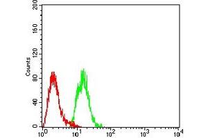 Flow cytometric analysis of Hela cells using MTA1 mouse mAb (green) and negative control (red). (MTA1 antibody  (AA 541-715))