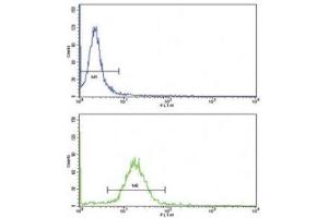 Flow cytometric analysis of MDA-231 cells using WNT10B antibody (green) (WNT10B antibody  (AA 193-222))