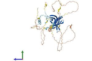 AlphaFold protein structure predicition of Human Recombinant RANBP3L Protein, UniprotID Q86VV4 (RANBP3L Protein (AA 1-465) (His tag))