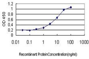 Detection limit for recombinant GST tagged TFRC is approximately 0. (Transferrin Receptor antibody  (AA 68-168))