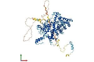 AlphaFold protein structure predicition of Mouse Recombinant Strip1 Protein, UniprotID Q8C079 (STRIP1 Protein (AA 1-837) (His tag))