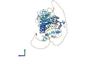 AlphaFold protein structure predicition of Human Recombinant ZC3H7A Protein, UniprotID Q8IWR0 (ZC3H7A Protein (AA 1-971) (His tag))