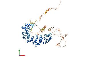 AlphaFold protein structure predicition of Mouse Recombinant Heatr9 Protein, UniprotID Q5QNV8 (C17orf66 Protein (AA 1-569) (His tag))