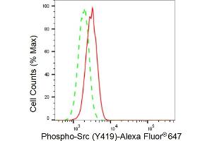 Flow cytometric analysis of Phospho-Src (Y419) expression in H9c2 cells using Phospho-Src (Y419) antibody (ABIN7800050), 1:2,000). (Recombinant Src antibody  (pTyr419))