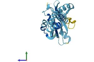 Protein Structure (PS) image for N-Acetyltransferase 14 (GCN5-Related, Putative) (NAT14) (AA 1-206) protein (His tag) (ABIN7558927)