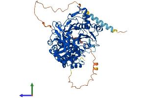 AlphaFold protein structure predicition of Human Recombinant GALNT7 Protein, UniprotID Q86SF2
