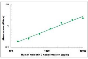 Representative Standard Curve (Galectin 2 ELISA Kit)